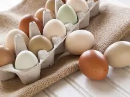 organic-eggs